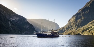 doubtful sound cruise kayak